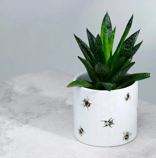 The Nectar Meadows Bee Ceramic Indoor Plant Pot - Small Bitu Gift Shop