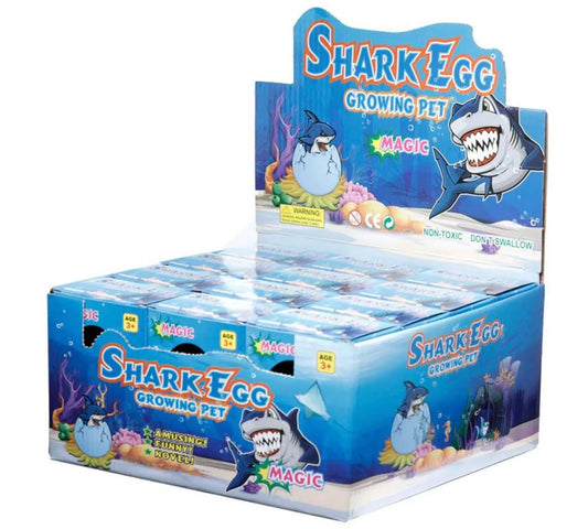 Shark Hatching Egg Bitu Gift Shop