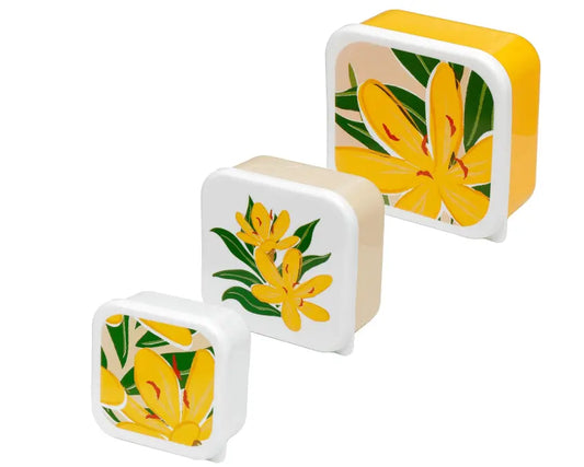 Set of 3 Lunch Box Snack Pots M/L/XL Bitu Gift Shop