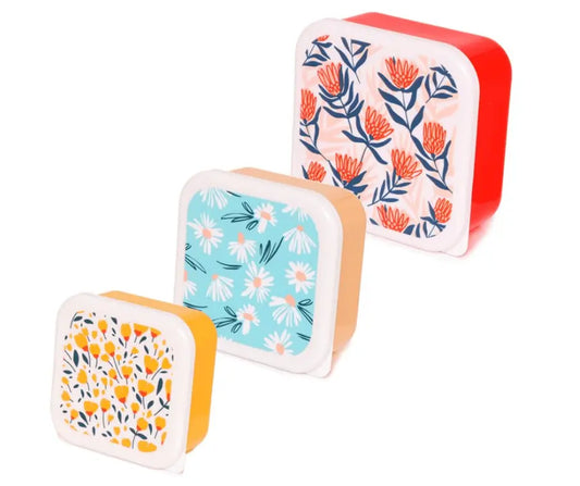 Set of 3 Lunch Boxes - Floral Design Poppies, Daisies and Proteas Pick of the Bunch Bitu Gift Shop