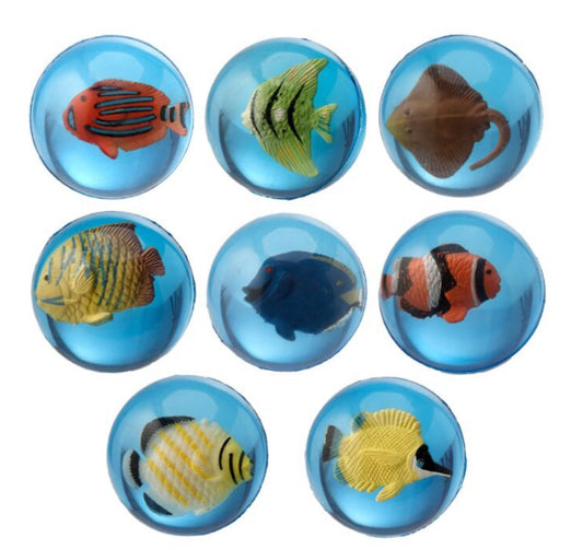 Pelota de Juguete 3D Pez Tropical En Bol Expositor Bitu Gift Shop